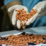 DMT in Pill Form Guide